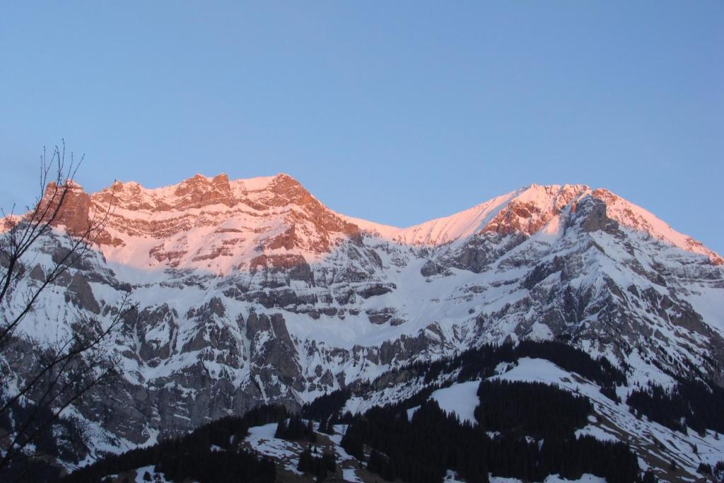 Chalet Sunnegg Adelboden Zimmer foto